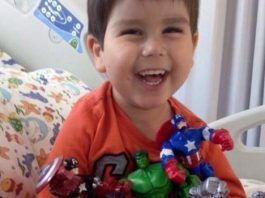 Leoncito se fue…