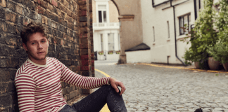 Niall Horan anuncia show en Chile!