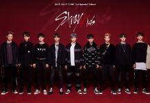 La nueva promesa del KPop: Stray Kids