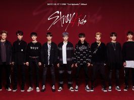La nueva promesa del KPop: Stray Kids