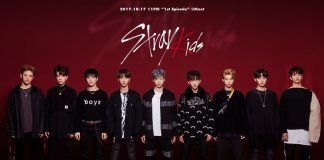 La nueva promesa del KPop: Stray Kids