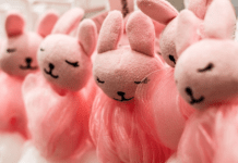 MINISO: la marca japonesa de moda en el mundo, se instala en Chile con su tercera tienda