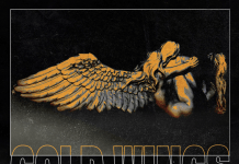 Shaun Frank lanza “Gold Wings” con Krewella