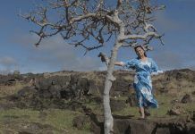 Documental de Pablo Berthelon sobre patrimonio Rapa Nui llega a la cartelera nacional