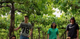 El grupo pop chileno Freedog presentan su primer single: “Amor infinito”