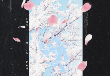 Shawn Mendes & Zedd lanzan remix de «Lost in Japan»