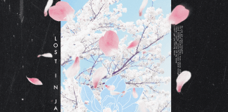 Shawn Mendes & Zedd lanzan remix de «Lost in Japan»