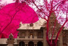 El Museo de la Solidaridad Salvador Allende lanza tres publicaciones de exposiciones