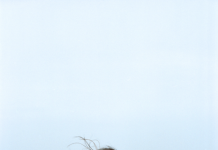 Josienne Clarke anuncia debut como solista ‘In All Weather’