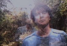 Panda Bear comparte nuevo sencillo “playing the long game”