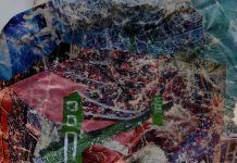Animal Collective lanza nuevo ep ‘Bridge To Quiet’