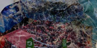 Animal Collective lanza nuevo ep ‘Bridge To Quiet’