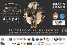 Purina Pro Plan Challenge Cup: Conoce los horarios y actividades del evento canino más importante de Sudamérica