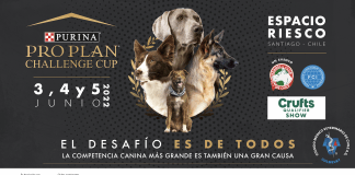 Purina Pro Plan Challenge Cup: Conoce los horarios y actividades del evento canino más importante de Sudamérica