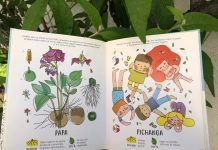 En el Mes del Libro Editorial Pehuén tiene todos sus textos con un 20% de descuento