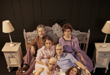 La aclamada obra “ La Gata sobre el tejado de zinc caliente” llega al Teatro Municipal de las Condes con reconocido elenco nacional