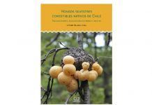 Ediciones Libro Verde publica interesante libro sobre los hongos silvestres comestibles