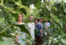 Los Pasos presentan su segundo single «Las Abejas»