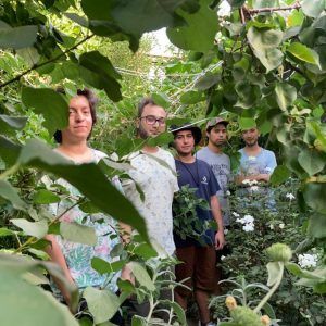 Los Pasos presentan su segundo single «Las Abejas»
