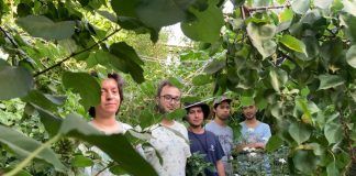 Los Pasos presentan su segundo single «Las Abejas»
