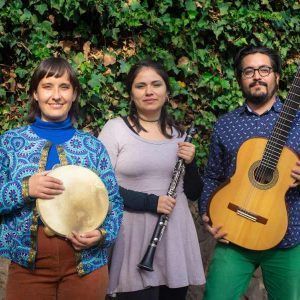 Mezclando sonidos de Chile y Brasil, Trío Enmarañao lanza su nuevo single «Choroy»