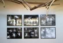 Museo Taller inaugura las primeras dos muestras de la exposición colectiva «Ciclo natural»