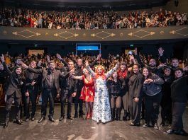 La orquesta animé Kokorone Music llega a Temuco con la magia de Studio Ghibli