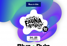 ¡Fauna Primavera anuncia su cartel 2023!