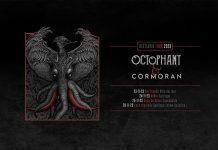 Octophant y Cormoran de Uruguay unen fuerzas en una potente gira por Chile.