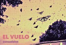 Alas atravesando la vida al vuelo de los 7 capítulos de Consuelohm