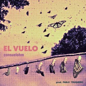 Alas atravesando la vida al vuelo de los 7 capítulos de Consuelohm