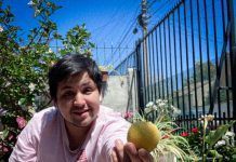 La pérdida de lo que ya fue: Neopsicodelia desde Villa Alemana hacía el exterior por la curativa sonora de Felipe Zepeda