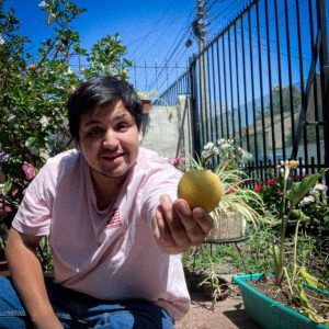 La pérdida de lo que ya fue: Neopsicodelia desde Villa Alemana hacía el exterior por la curativa sonora de Felipe Zepeda