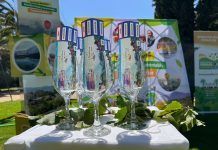 Regresa la Fiesta de la Vendimia de Peñaflor a Parque El Trapiche