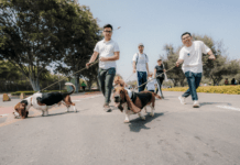 Revisa los cortes de tránsito y recomendaciones para la corrida con perritos