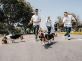 Revisa los cortes de tránsito y recomendaciones para la corrida con perritos