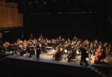 La pasión por la música se escucha en Los Ríos: FOJI invita a conciertos gratuitos en La Unión y Valdivia