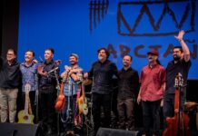 Desde Talca a los Premios Pulsar: Arctaña es nominada por rescatar músicas de raíz