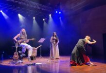 CRIN Chile cierra ciclo de conciertos familiares con Epewtufe y Flor de Nai en el Aula Magna del Manuel de Salas