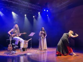 CRIN Chile cierra ciclo de conciertos familiares con Epewtufe y Flor de Nai en el Aula Magna del Manuel de Salas