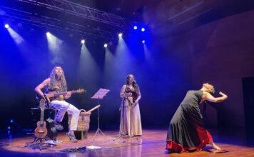 CRIN Chile cierra ciclo de conciertos familiares con Epewtufe y Flor de Nai en el Aula Magna del Manuel de Salas