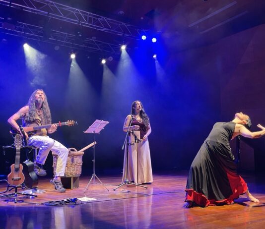 CRIN Chile cierra ciclo de conciertos familiares con Epewtufe y Flor de Nai en el Aula Magna del Manuel de Salas