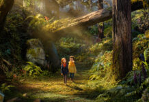 De los creadores de Coraline llega Wildwood