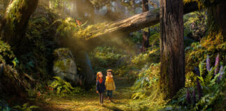 De los creadores de Coraline llega Wildwood