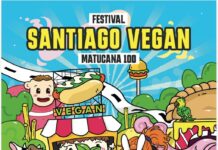 Metalengua, Niña Tormenta y más en Santiago Vegan: Música chilena, circo y comida típica plant-based se toman estas Fiestas Patrias en Matucana 100